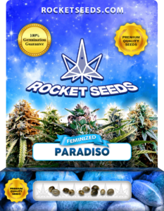 Paradiso Strain Feminized Seeds