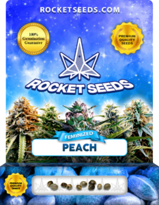 Peach Strain Feminized Seeds