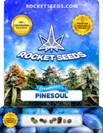 Pinesoul Strain Feminized Seeds
