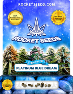 Platinum Blue Dream Strain Feminized Seeds