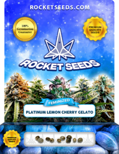 Platinum Lemon Cherry Gelato Strain Feminized Seeds