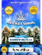 Rainbow Belts 2.0 Strain Feminized Seeds