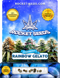 Rainbow Gelato Strain Feminized Marijuana Seeds