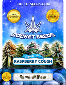 Raspberry Cough Strain Feminized Marijuana Seeds