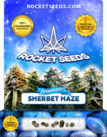 Sherbet Haze Strain Feminized Seeds