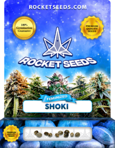 Shoki Strain Feminized Seeds