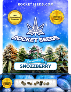 Snozzberry Strain Feminized Seeds