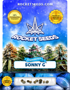 Sonny G Strain Feminized Seeds