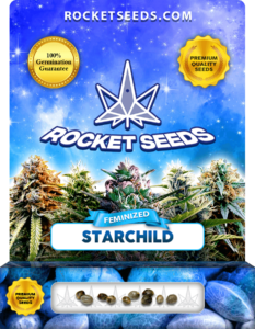 Starchild Strain Feminized Seeds