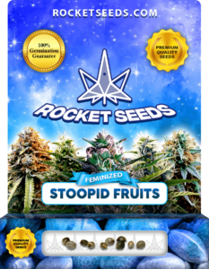 Stoopid Fruits Strain Feminized Seeds