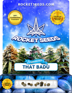 That Badu Strain Feminized Seeds