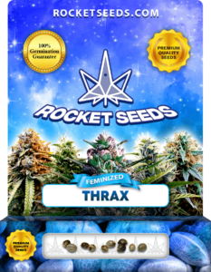 Thrax Strain Feminized Marijuana Seeds