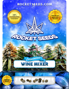 Wine Mixer Strain Feminized Marijuana Seeds