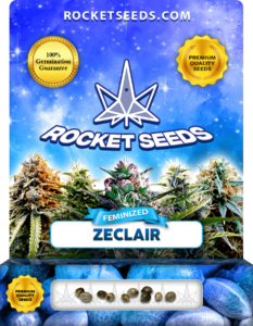 Zeclair Strain Feminized Marijuana Seeds