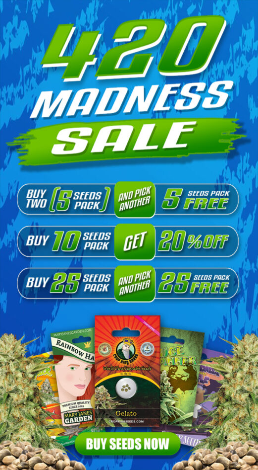 banner mobile