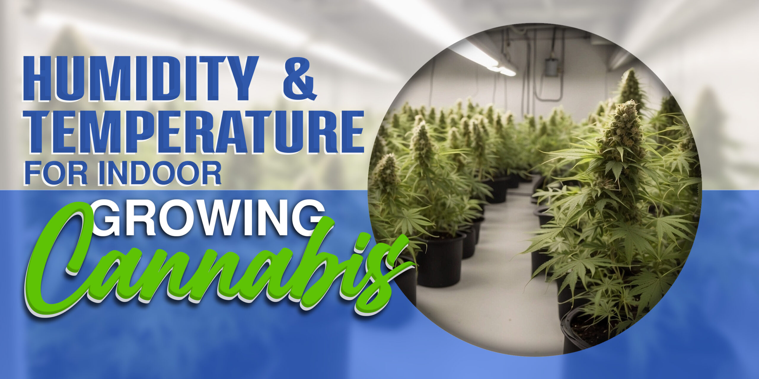 Humidity and Temperature for Indoor Growing of Cannabis
