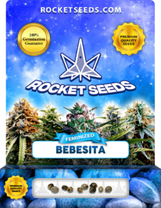Bebesita Feminized Seeds