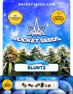 Bluntz Feminized Cannabis Seeds
