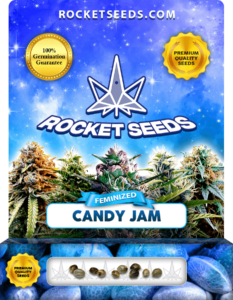 Candy Jam Feminized Seeds