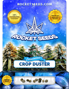 Crop Duster Feminized Seeds