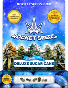 Deluxe Sugar Cane Feminized Seeds