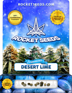 Desert Lime Feminized Seeds