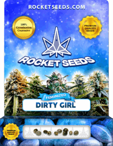 Dirty Girl Strain Feminized Cannabis Seeds