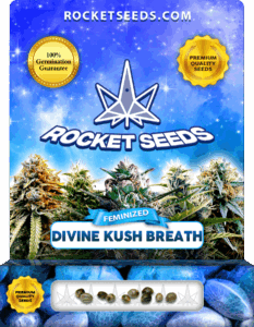 Divine Kush Breath Feminized Seeds