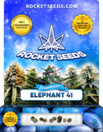 Elephant 41 Feminized Seeds