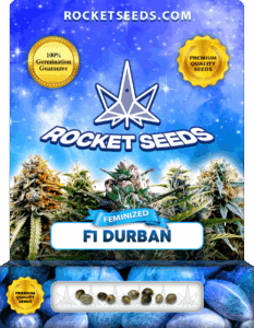 F1 Durban Feminized Seeds