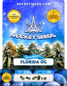 Florida OG Feminized Seeds