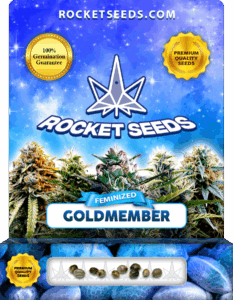 Goldmember Feminized Seeds