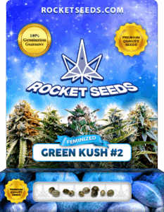 Green Kush #2 Feminized Seeds