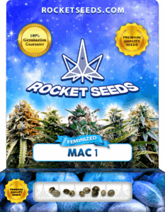 Mac 1 Strain Feminized Cannabis Seeds