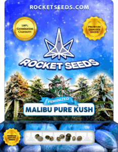 Malibu Pure Kush Feminized Seeds