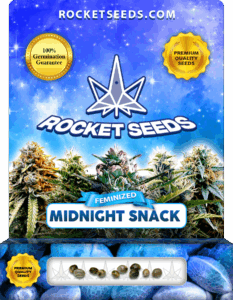 Midnight Snack Strain Feminized Cannabis Seeds