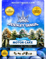 Motor Cake Strain Feminized Cannabis Seeds