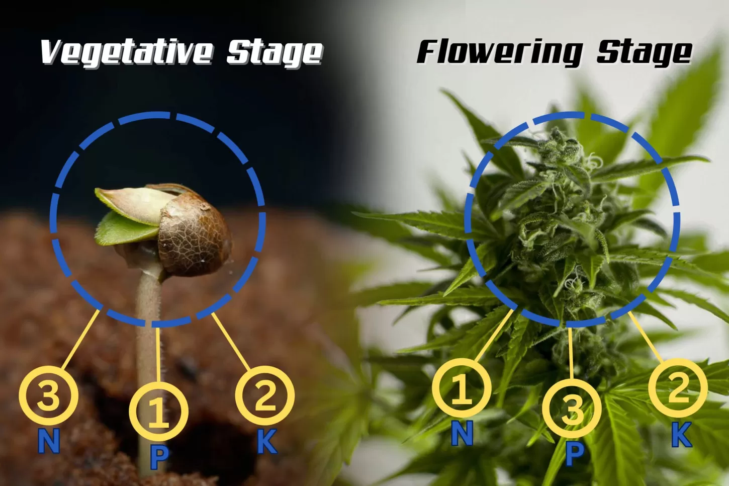 Knowing N-P-K Ratios