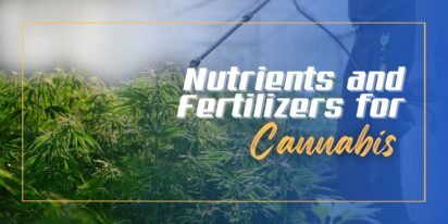 Nutrients and Fertilizers for Cannabis