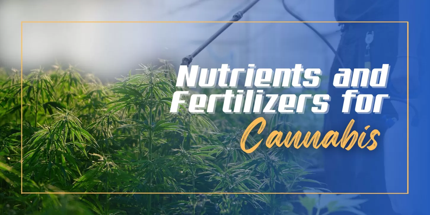 Nutrients and Fertilizers for Cannabis
