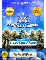 Blackberry Cake Feminized Seeds