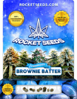 Brownie Batter Strain Feminized Cannabis Seeds