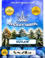 Outlaw Feminized Seeds