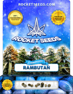 Rambutan Feminized Seeds