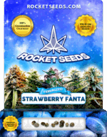 Strawberry Fanta Feminized Seeds