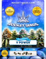 V Power Feminized Seeds