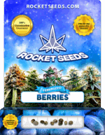 Berries Feminized Seeds