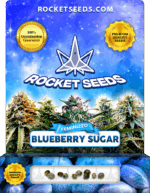 Blueberry Sugar Feminized Seeds