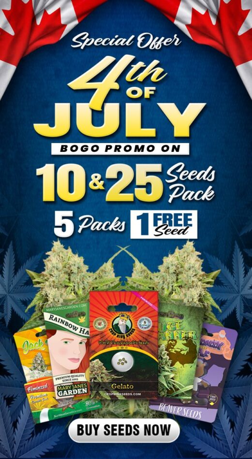 banner mobile