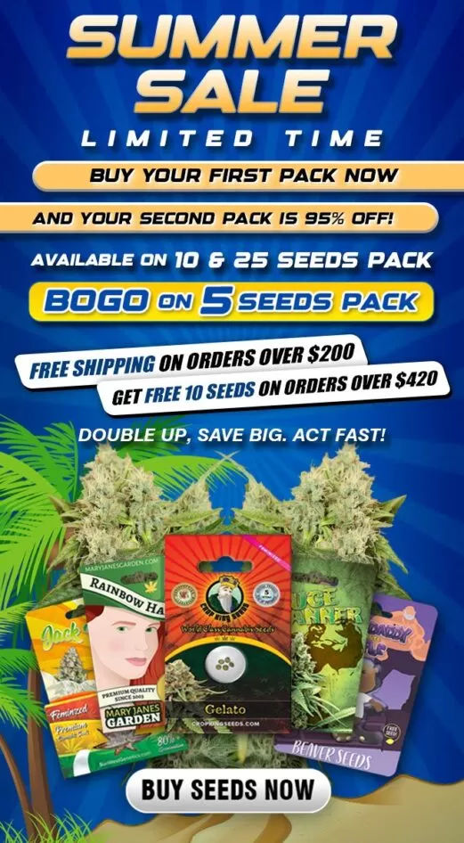 banner mobile